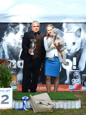 National Dog Show in Elva 2016