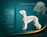Inter Stars Rondel Lars