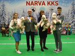 Narva Dog Show 24.11.2019