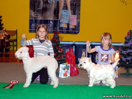 Child and dog